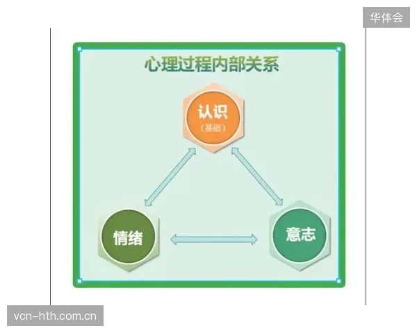 未来的高端运动营养服务，将整合心理咨询师与认知行为疗法，帮助用户克服因压力或焦虑导致的暴食与择食障碍